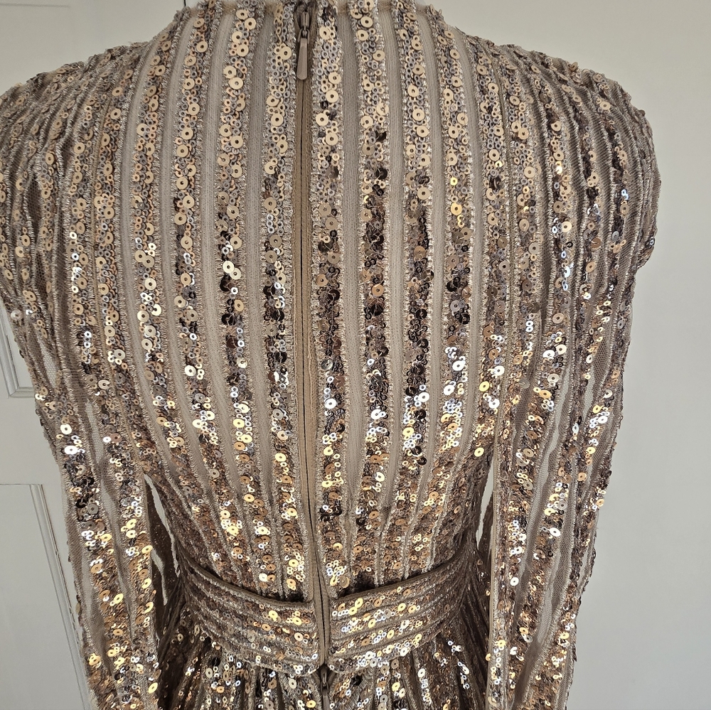 Elie Saab Sequin Cape Gown, Gold (Size 36 Small) Couture - New - Picture 4 of 12